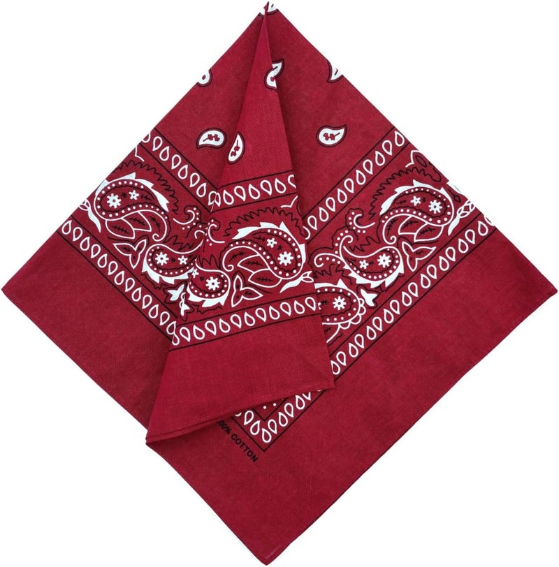 MD Style 6 PCS 100% Cotton Bandanas 22” x 22" for Men & Women Paisley Handkerchief Headband Scarf Bandana - Image 3